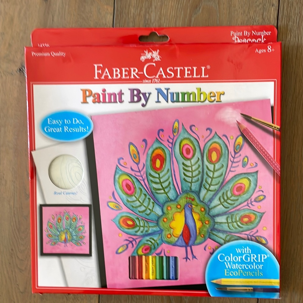 Brand New! Fabre-Castell Paint By Number Kit